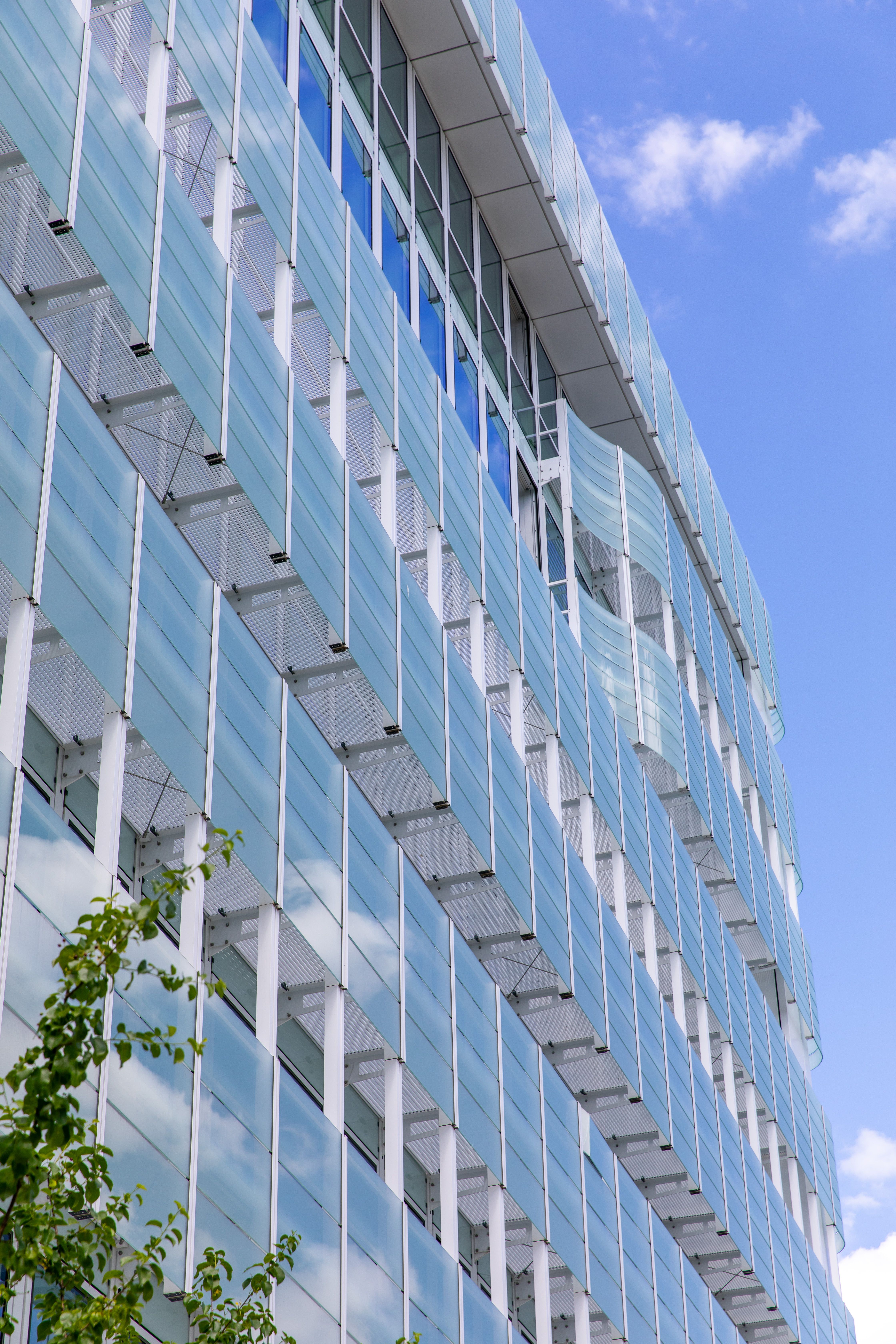 header image for page builder