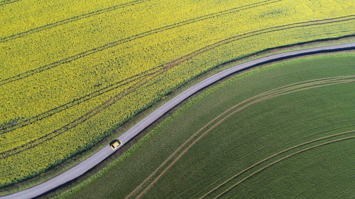 header image for page builder